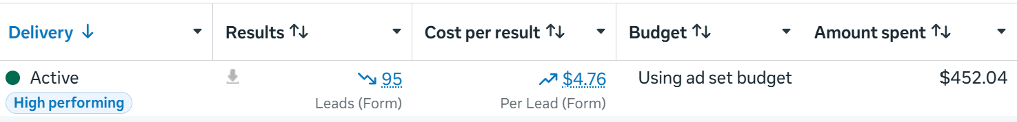Meta Ads Manager results: 95 leads at $4.76 cost per lead, $452.04 total spend