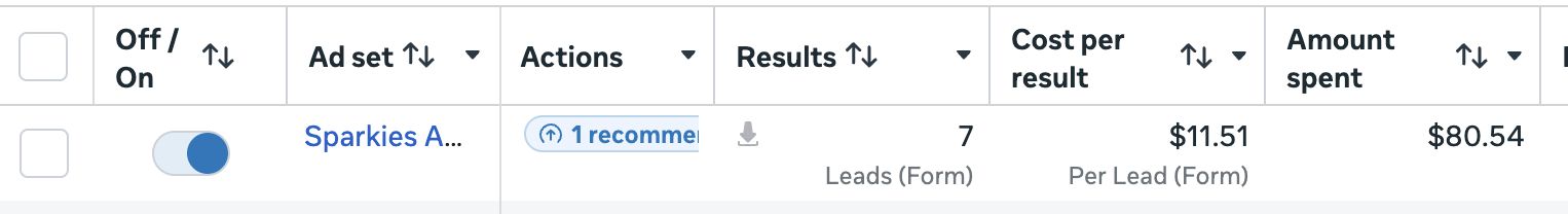 Meta Ads Manager results: 7 leads in under 24 hours at $11.51 cost per lead, $80.54 total spend